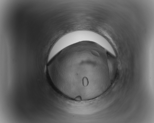 X0000090490019200707201545