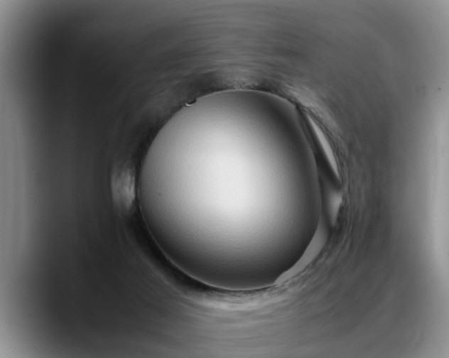 X0000090490021200707201545