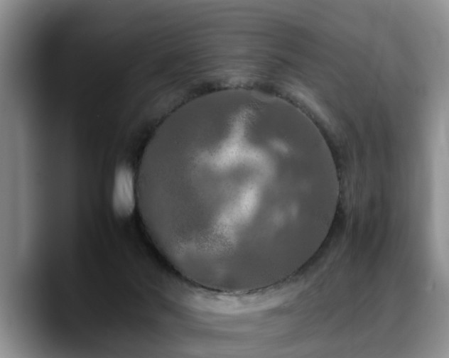X0000090490022200707201545
