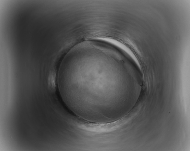 X0000090490023200707201545
