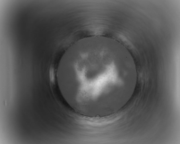 X0000090490026200707201545