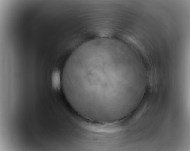 X0000090490028200707201545