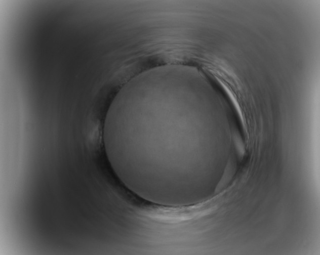 X0000090490029200707201545