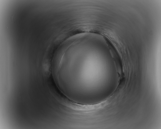 X0000090490031200707201545
