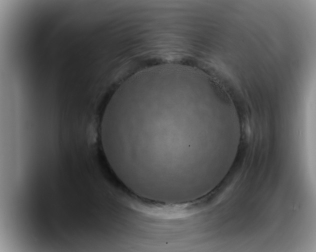 X0000090490032200707201545