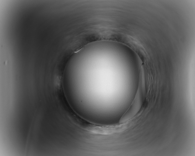 X0000090490033200707201545