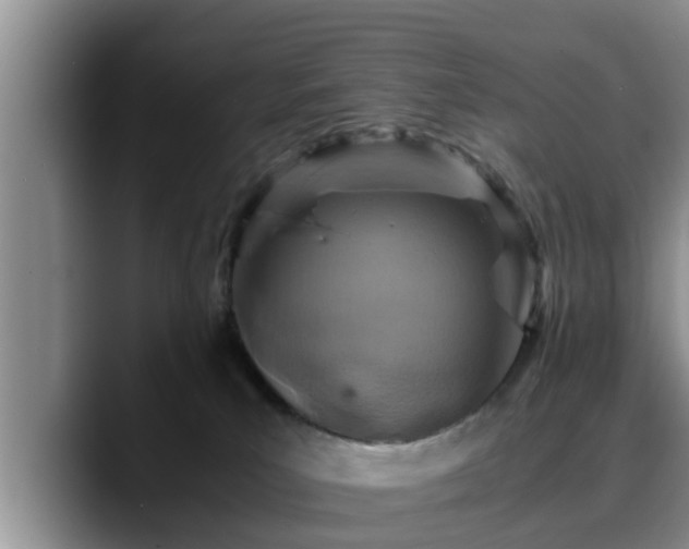 X0000090490039200707201545