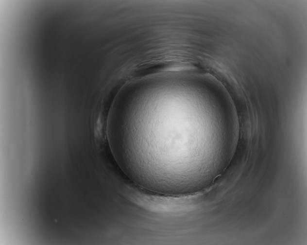 X0000090490044200707201545