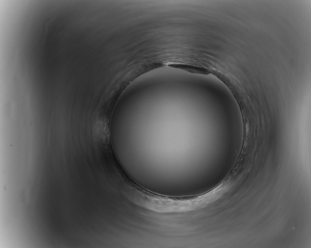X0000090490048200707201545