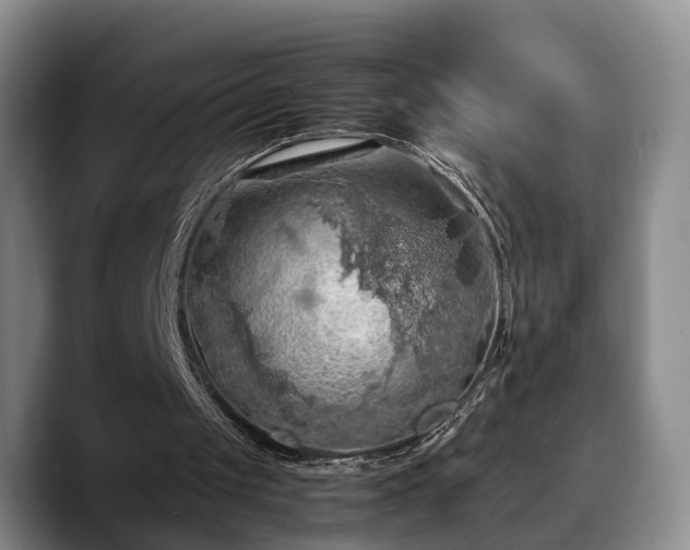 X0000090490049200707201544