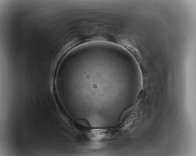 X0000090490051200707201544