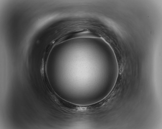 X0000090490052200707201544
