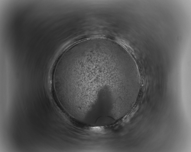 X0000090490053200707201544