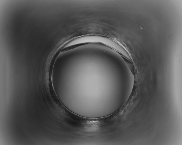 X0000090490055200707201544