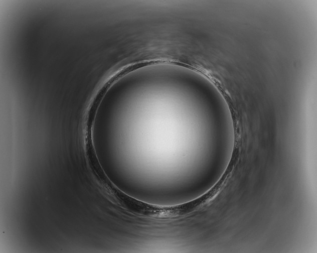 X0000090490056200707201544