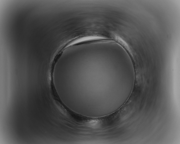X0000090490059200707201544