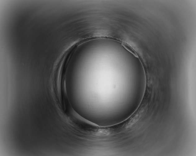 X0000090490060200707201544