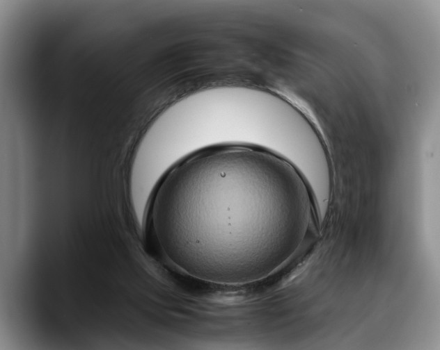 X0000090490061200707201545