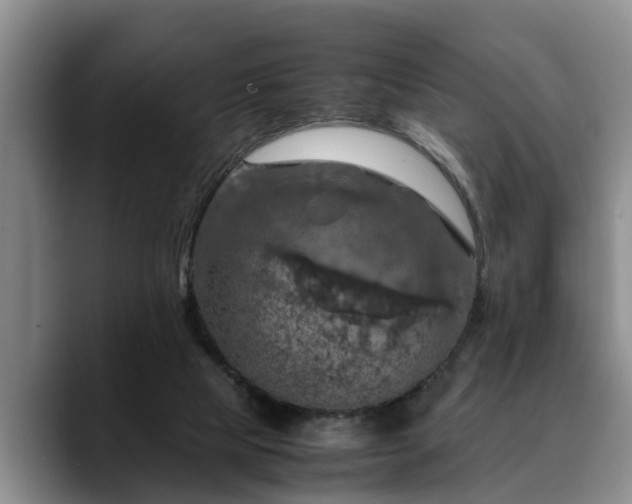 X0000090490065200707201545