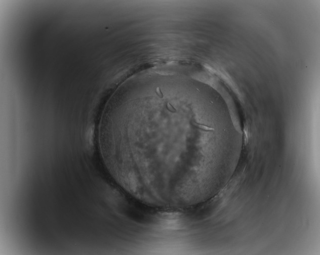 X0000090490066200707201545