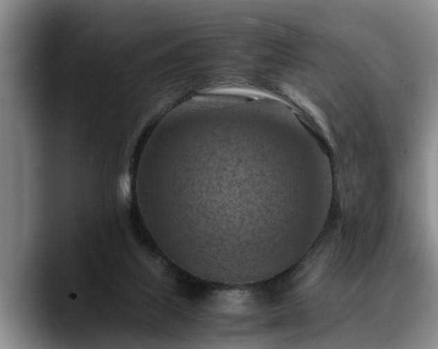 X0000090490067200707201545