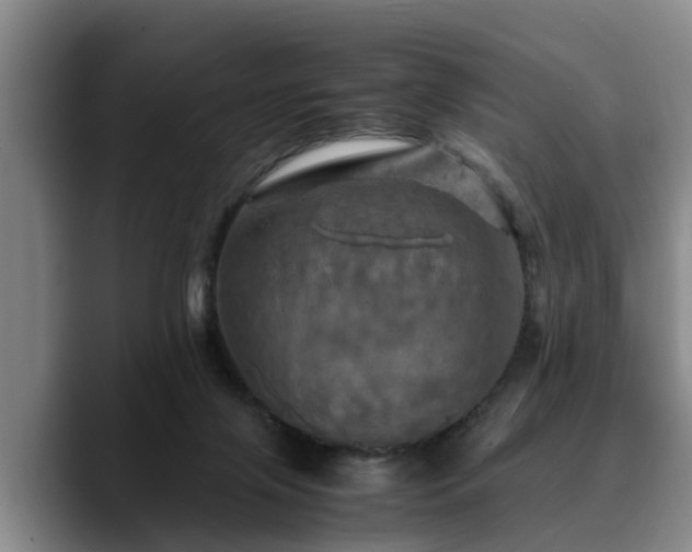 X0000090490071200707201545