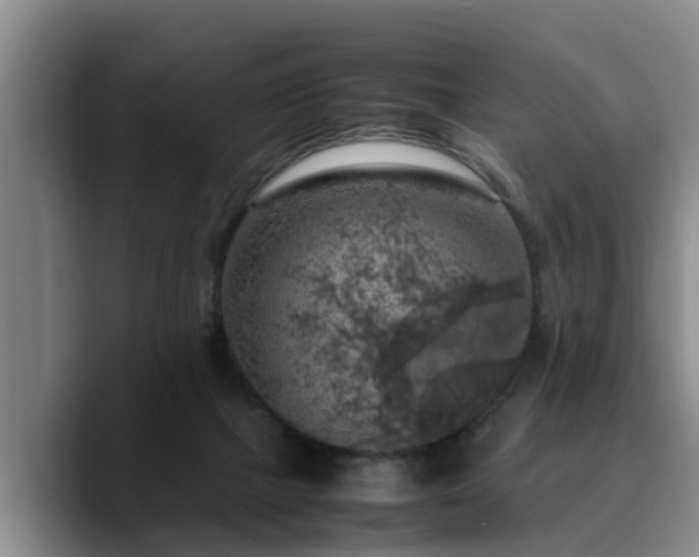 X0000090490073200707201545