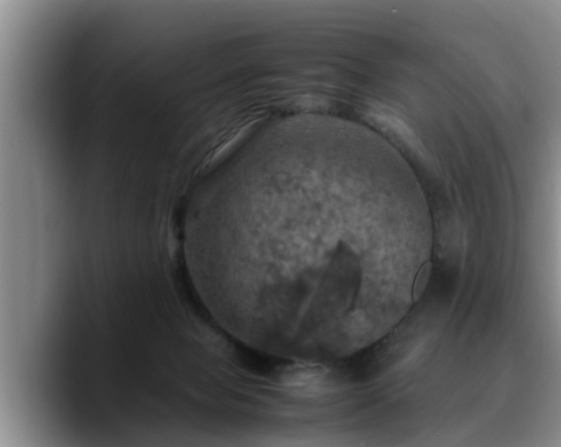 X0000090490077200707201545