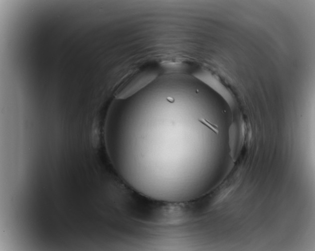 X0000090490080200707201545