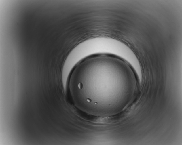 X0000090490084200707201545