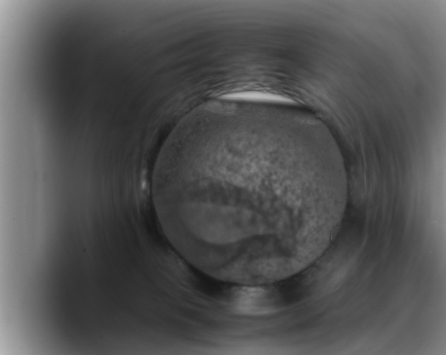 X0000090490085200707201545