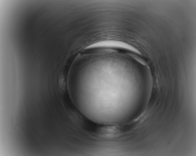 X0000090490086200707201545