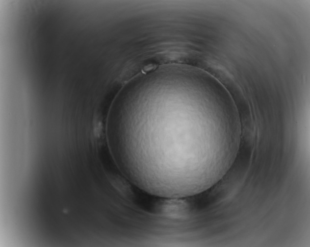 X0000090490087200707201545