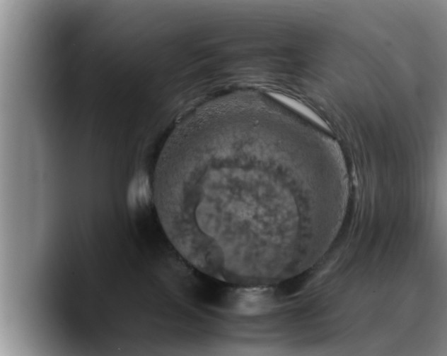 X0000090490089200707201545