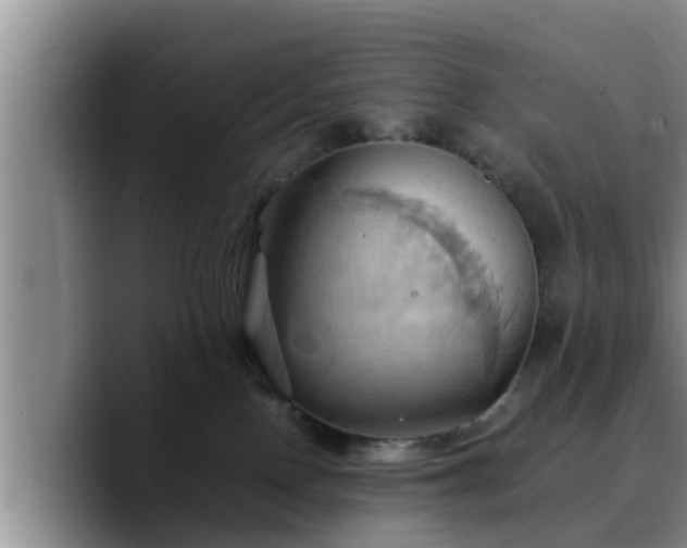 X0000090490090200707201545