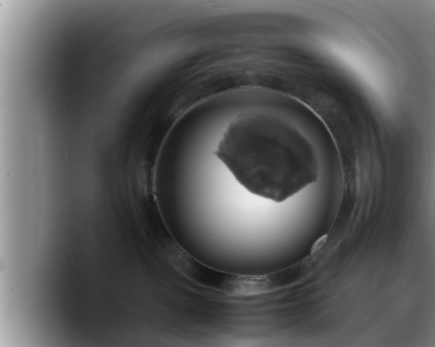 X0000090490093200707201545