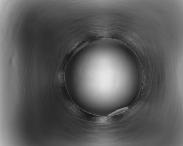 X0000090490096200707201545