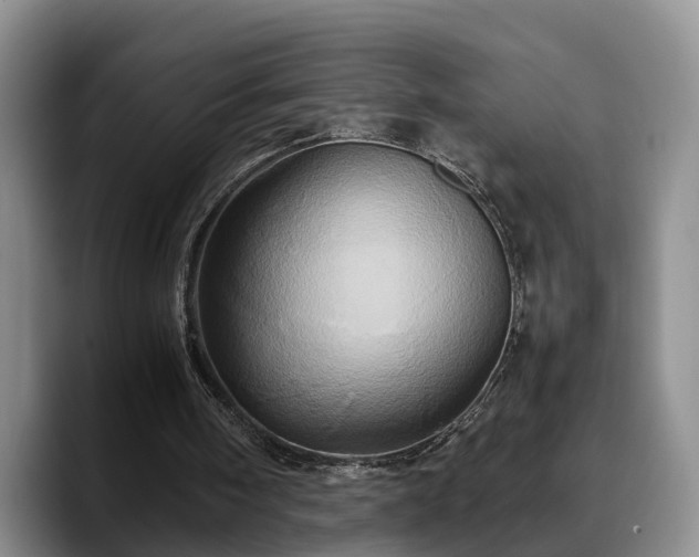X0000090490098200707201544