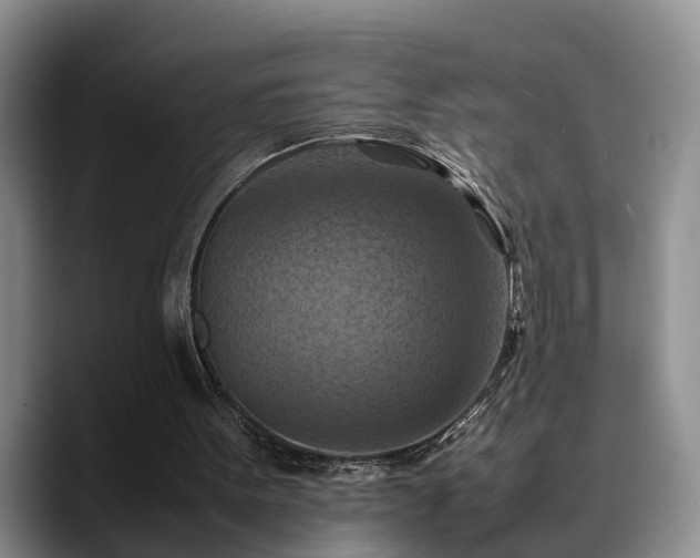 X0000090490099200707201544