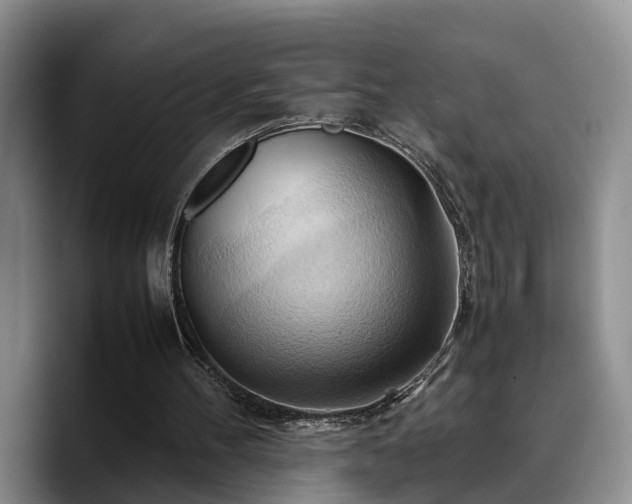 X0000090490100200707201544