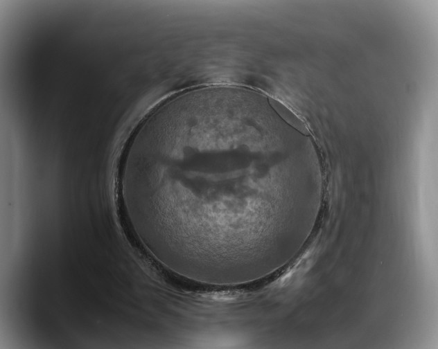 X0000090490103200707201544