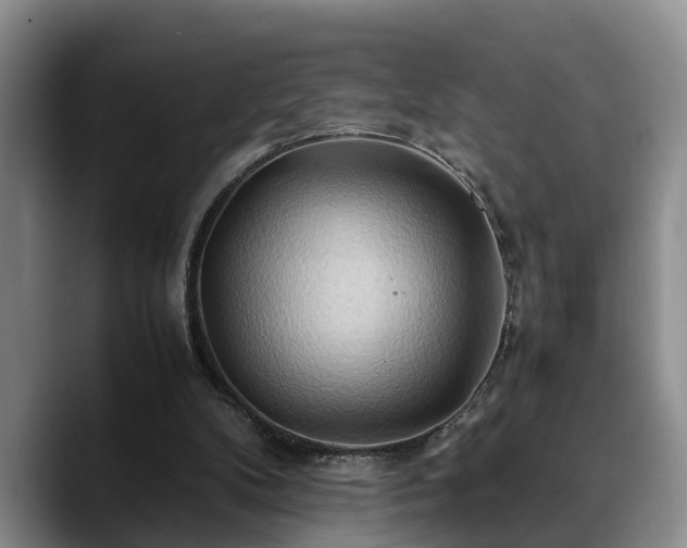 X0000090490104200707201544