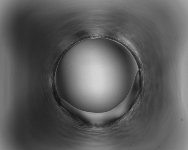 X0000090490105200707201544