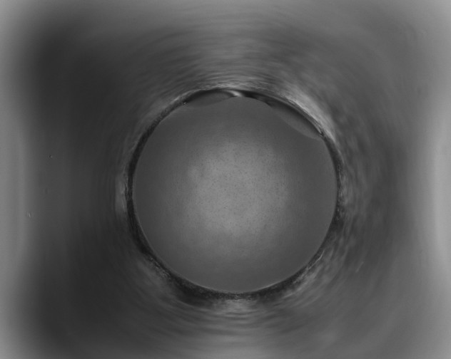 X0000090490107200707201544