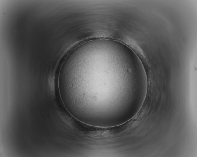 X0000090490108200707201544