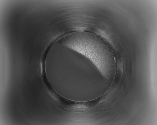 X0000090490110200707201544