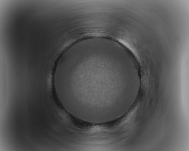 X0000090490111200707201544