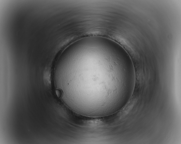 X0000090490112200707201544