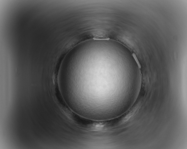 X0000090490117200707201544