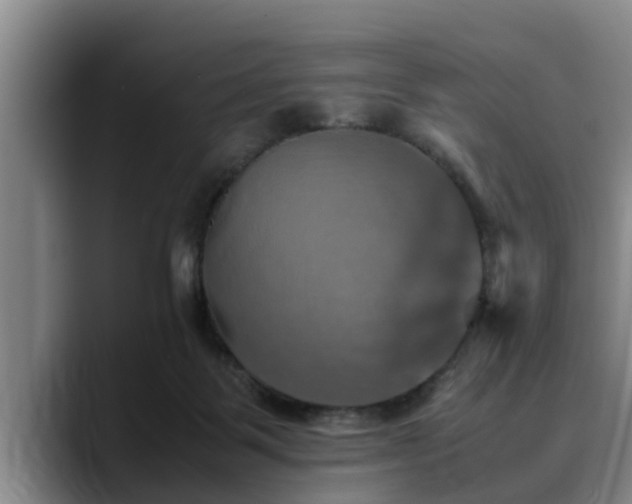 X0000090490123200707201544